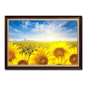 Mẫu tranh phong cảnh cánh đồng hoa hướng dương đẹp với đường chân trời bừng sáng