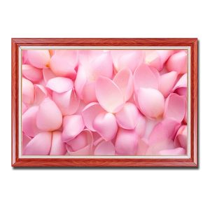 Bức tranh đẹp hình ảnh những cánh hoa sen hồng