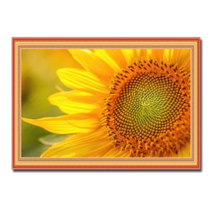 Mẫu tranh bông hoa hướng dương đẹp