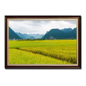 Bức tranh treo tường đẹp hình ảnh cánh đồng lúa chín và tại thung lũng Bắc Sơn Lạng Sơn