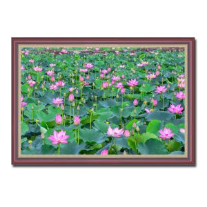 Bức tranh phong cảnh đầm sen đẹp với những tán lá xanh tốt