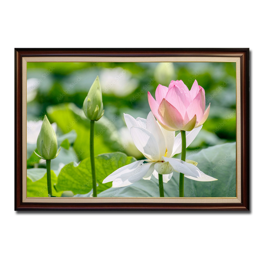 Bức tranh phong cảnh đầm sen đẹp với màu lá xanh mát