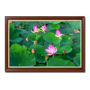 Mẫu tranh phong cảnh đầm sen đẹp với màu xanh mơn mởn của lá