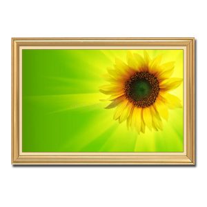 Bức tranh đẹp bông hoa hướng dương tỏa nắng vàng như mặt trời