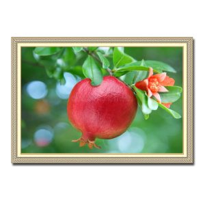 Mẫu tranh treo tường đẹp hình ảnh cành lựu với quả chín mọng và những bông hoa nở