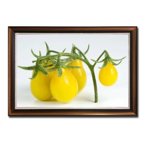 Tranh phòng ăn đẹp hình ảnh chùm cà chua quả màu vàng đẹp