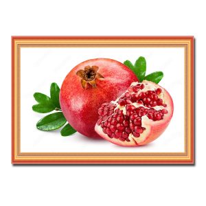 Mẫu tranh treo phòng ăn đẹp hình ảnh quả lựu chín đỏ đầy hạt