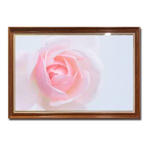 Mẫu tranh treo tường đẹp hình ảnh bông hoa hồng phai
