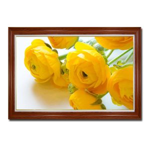 Mẫu tranh treo tường đẹp hình ảnh những bông hoa hồng cánh vàng