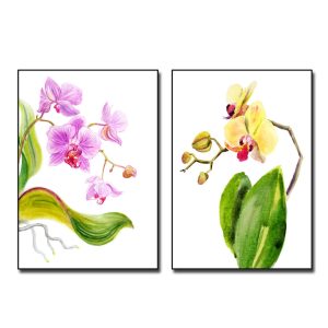 Bộ 2 bức tranh hoa lan đẹp vẽ kiểu màu nước