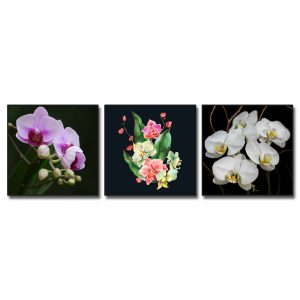 Bộ 3 bức tranh đẹp hình ảnh cành lan hồng, lan trắng và khóm lan vẽ màu nước