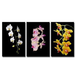 Bộ 3 bức tranh đẹp hình ảnh cành lan trắng, lan tím phớt và lan vàng đẹp