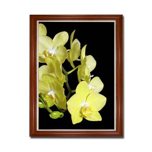Mẫu tranh khổ đứng hình ảnh cành hoa lan màu vàng tươi trên nền đen