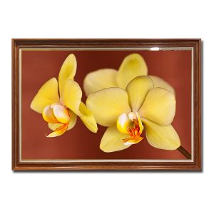 Mẫu tranh treo tường hình ảnh những bông hoa lan vàng trên nền đỏ nâu
