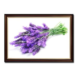 Mẫu tranh treo tường đẹp hình ảnh bó hoa lavender màu tím tươi tắn