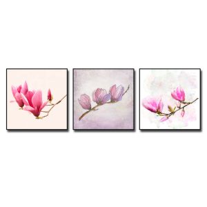 Bộ 3 bức tranh hoa mộc lan đẹp