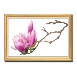 Mẫu tranh treo tường hình ảnh những bông hoa mộc lan nở đầu cành