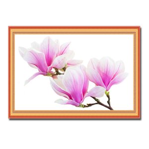 Mẫu tranh treo tường hình ảnh những bông hoa mộc lan màu hồng tươi đẹp