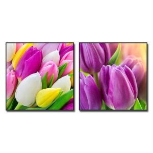 Mẫu tranh hoa tulip đẹp với màu sắc tươi tắn nổi bật
