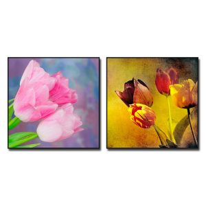 Mẫu tranh hoa tulip đẹp bộ 2 bức