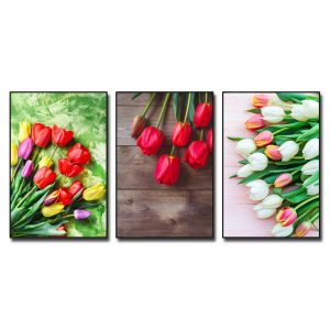 Bộ 3 bức tranh hoa tulip đẹp với những bông hoa nhiều màu và nền tranh sinh động