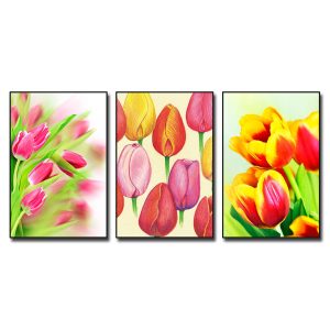 Bộ 3 bức tranh hoa tulip đẹp với màu sắc và kiểu dáng đa dạng