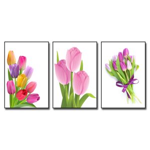 Bộ tranh hoa tulip nhiều màu sắc tươi tắn nổi bật trên nền trắng