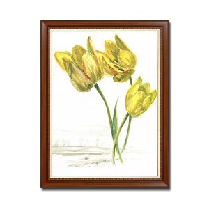 Mẫu tranh khổ đứng hình ảnh những bông hoa tulip vàng đẹp