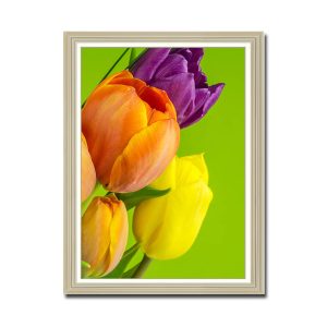 Mẫu tranh khổ đứng hình ảnh những bông hoa tulip nhiều màu trên nền xanh