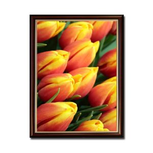 Mẫu tranh khổ đứng với sắc màu rực rỡ của những bông hoa tulip màu đỏ cam phớt vàng