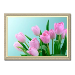Mẫu tranh treo tường hình ảnh những bông hoa tulip màu hồng tươi trên nền xanh nhạt