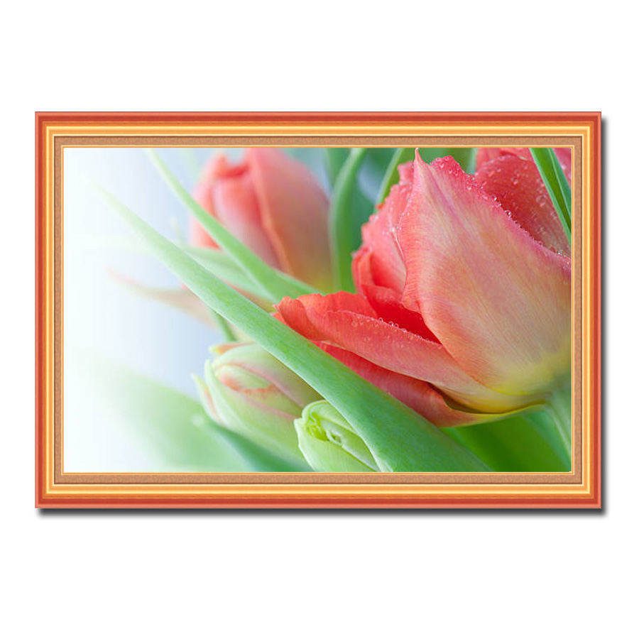 Mẫu tranh treo tường hình ảnh hoa tulip đẹp với sắc màu tươi tắn