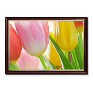 Mẫu tranh treo tường đẹp hình ảnh những bông hoa tulip và lá xanh với màu sắc tươi tắn