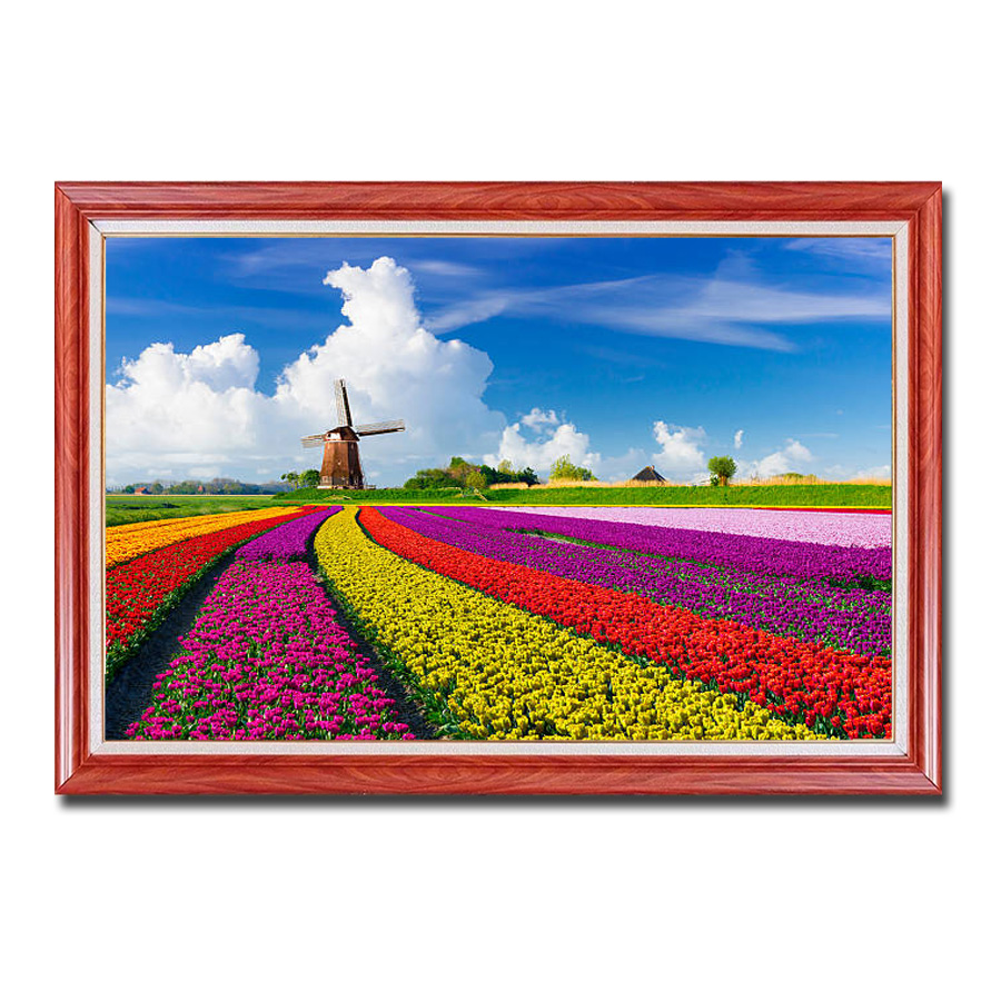 Mẫu tranh treo tường đẹp hình ảnh cánh đồng hoa tulip và cối xay gió