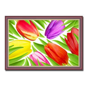 Mẫu tranh treo tường đẹp hình ảnh những bông hoa tulip nhiều màu sắc và lá xanh tươi
