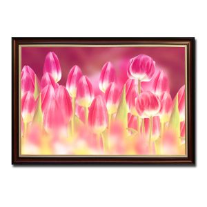 Mẫu tranh treo tường hình ảnh hoa tulip đỏ hồng lung linh
