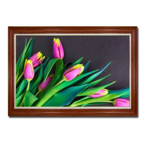 Mẫu tranh treo tường đẹp hình ảnh hoa tulip tím lai vàng đẹp