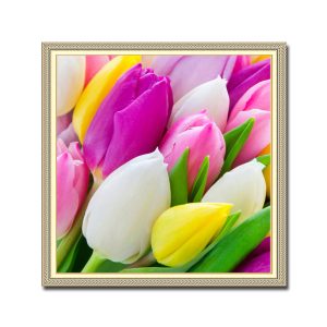 Mẫu tranh khổ vuông đẹp hình ảnh hoa tulip nhiều màu sắc