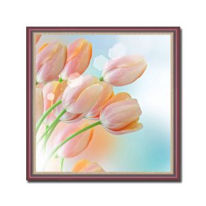 Mẫu tranh khổ vuông đẹp hình ảnh hoa tulip hồng trên nền xanh loang trắng