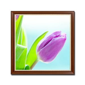 Mẫu tranh khổ vuông đẹp hình ảnh bông hoa tulip màu tím và lá xanh tươi