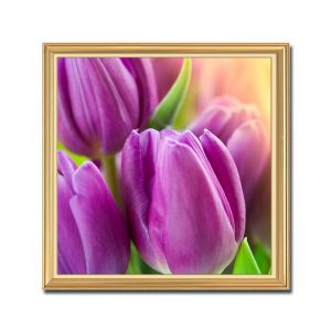 Mẫu tranh khổ vuông đẹp những bông hoa tulip màu tím