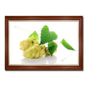 Mẫu tranh treo phòng bếp đẹp hình ảnh lá và những bông hoa bia