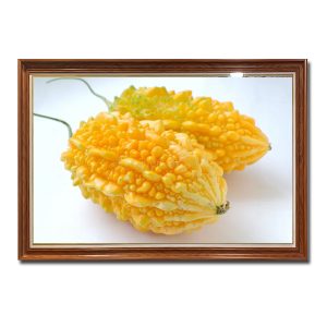 Mẫu tranh treo phòng bếp đẹp hình ảnh quả mướp đắng chín vàng