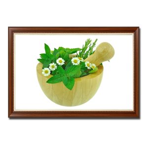 Mẫu tranh phòng ăn đẹp hình ảnh các loại rau thuốc trong cối gỗ