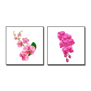 Bộ 2 bức tranh đẹp hình ảnh cành hoa lan hồng