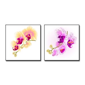 Bộ 2 bức tranh đẹp hình ảnh cành hoa lan vàng và tím