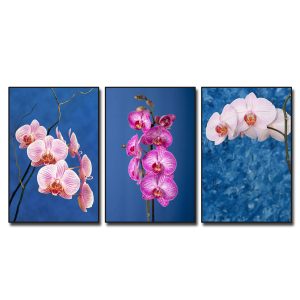 Bộ 3 bức tranh đẹp hình ảnh những cành hoa lan hồ điệp đẹp trên nền màu xanh ghi