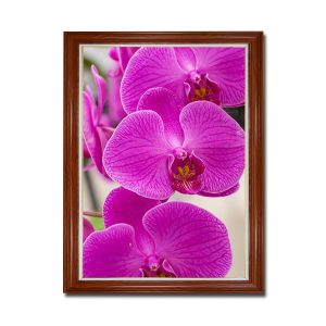 Mẫu tranh khổ đứng hình ảnh những bông hoa lan màu đỏ hồng tươi thắm