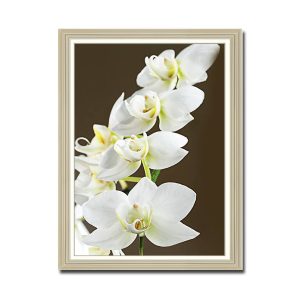 Mẫu tranh khổ đứng hình ảnh hoa phong lan trắng trên nền màu nâu nhạt