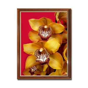 Mẫu tranh khổ đứng hình ảnh những bông hoa phong lan vàng trên nền đỏ